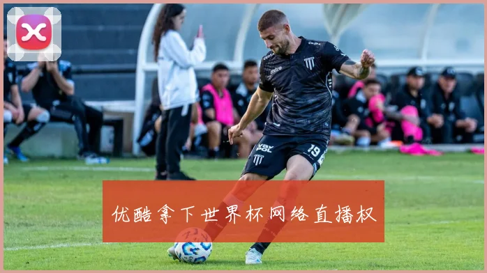 优酷拿下世界杯网络直播权