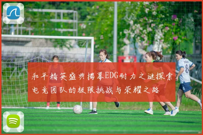和平精英盛典揭幕EDG耐力之谜探索电竞团队的极限挑战与荣耀之路