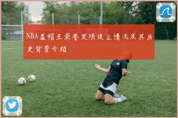 NBA盖帽王荣誉奖项设立情况及其历史背景介绍