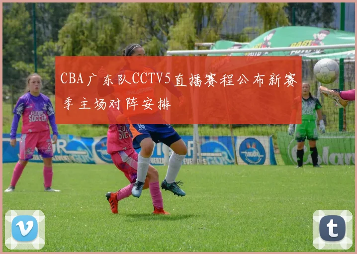 CBA广东队CCTV5直播赛程公布新赛季主场对阵安排