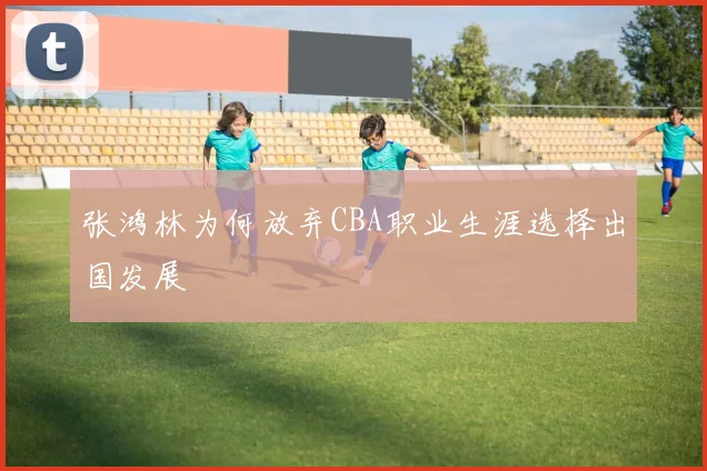 张鸿林为何放弃CBA职业生涯选择出国发展