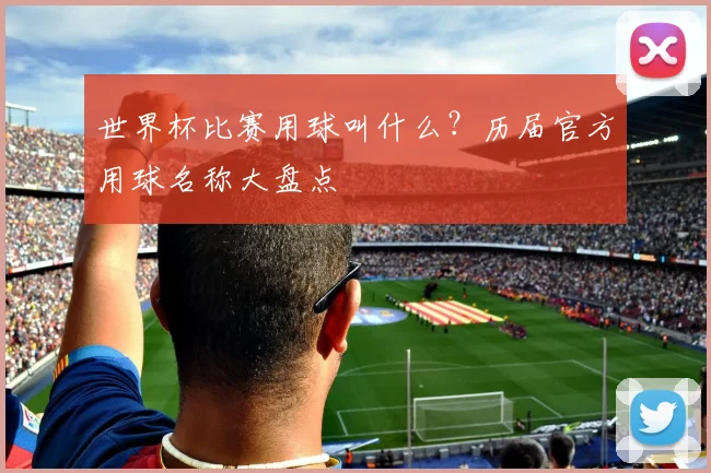 世界杯比赛用球叫什么？历届官方用球名称大盘点