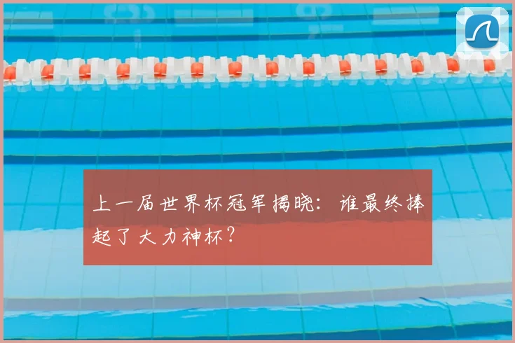 上一届世界杯冠军揭晓：谁最终捧起了大力神杯？