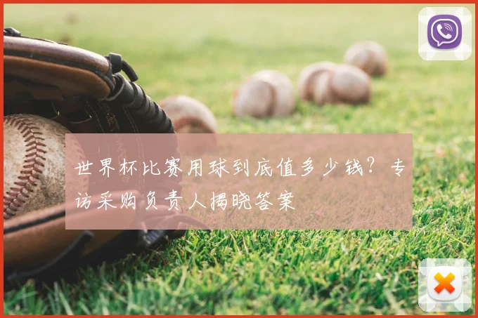 世界杯比赛用球到底值多少钱？专访采购负责人揭晓答案