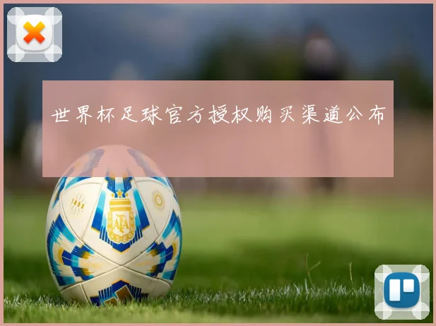 世界杯足球官方授权购买渠道公布