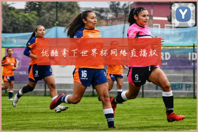 优酷拿下世界杯网络直播权